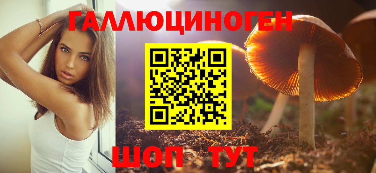 Армавир  Галлюциногенные грибы Psilocybe  Вход с VPN 