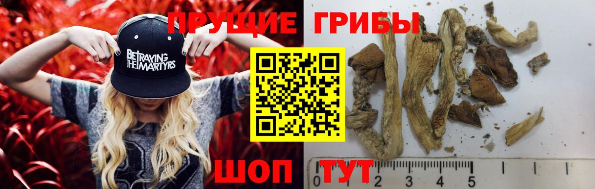 Галлюциногенные грибы MAGIC MUSHROOMS Армавир